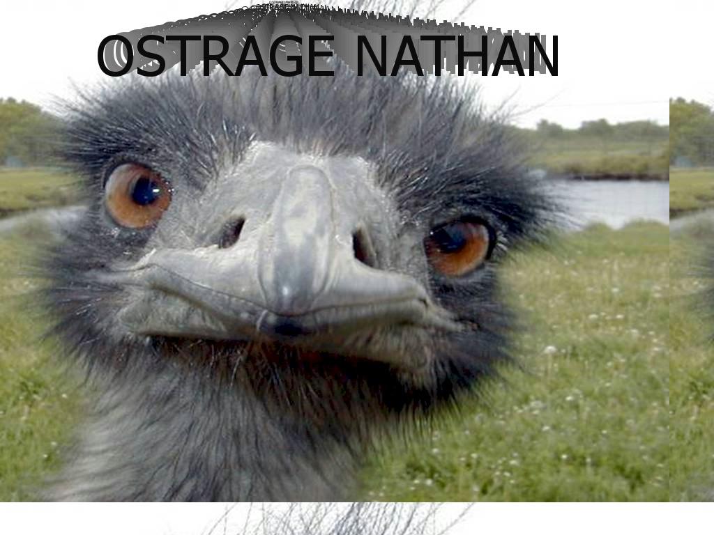 ostrage