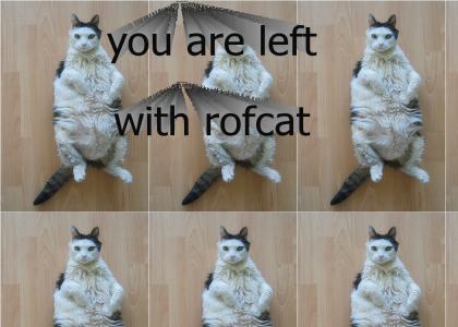 When roflcat stops laughing...