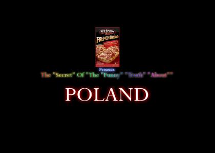 Secret Of Poland: Investigation