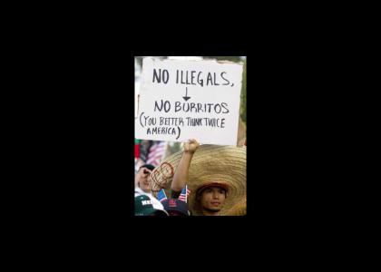 Why I Support Illegal Immigration