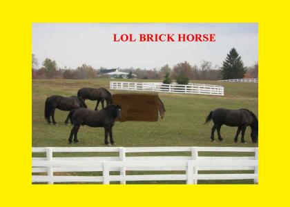 lol brick horse