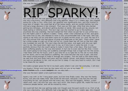 RIP SPARKY!