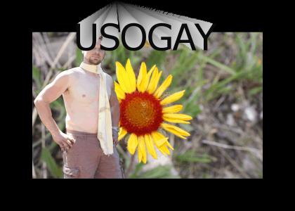 usogay