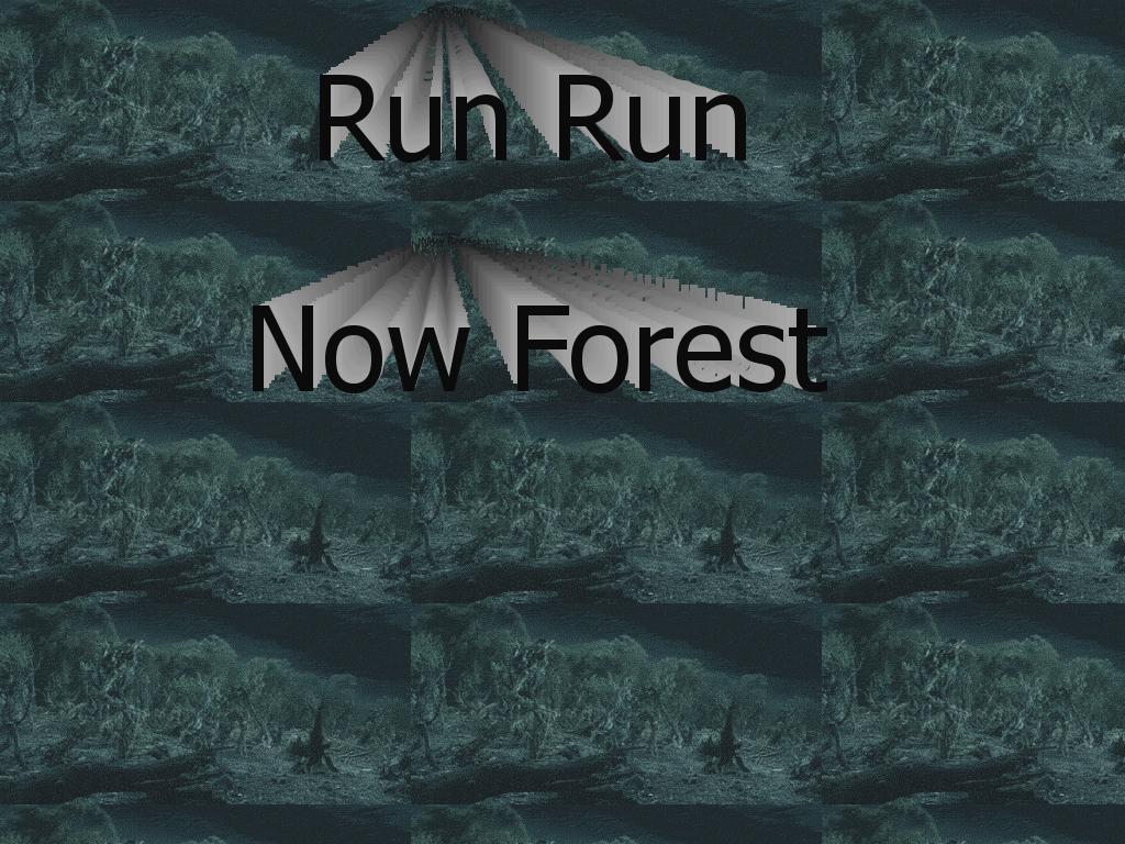 runrunnowforest