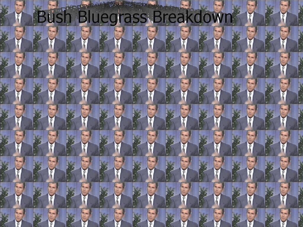 bushbreakdown