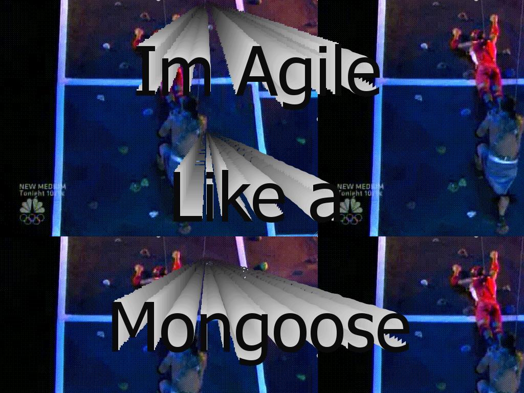 americanmongoose