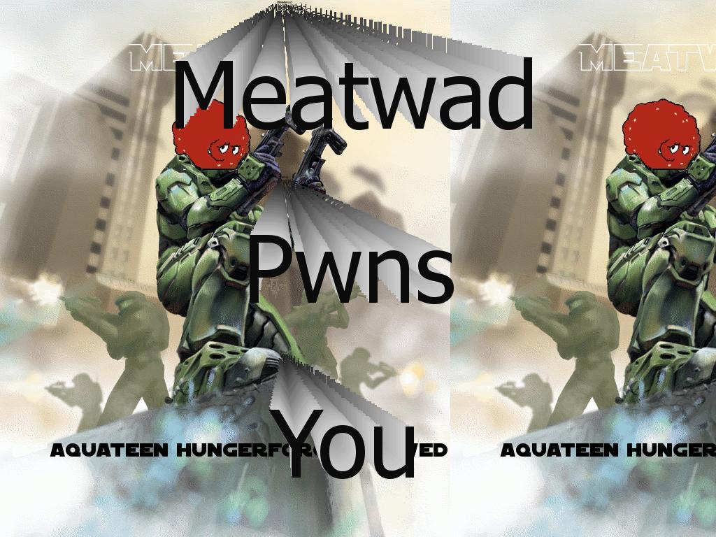 meatwadevolved
