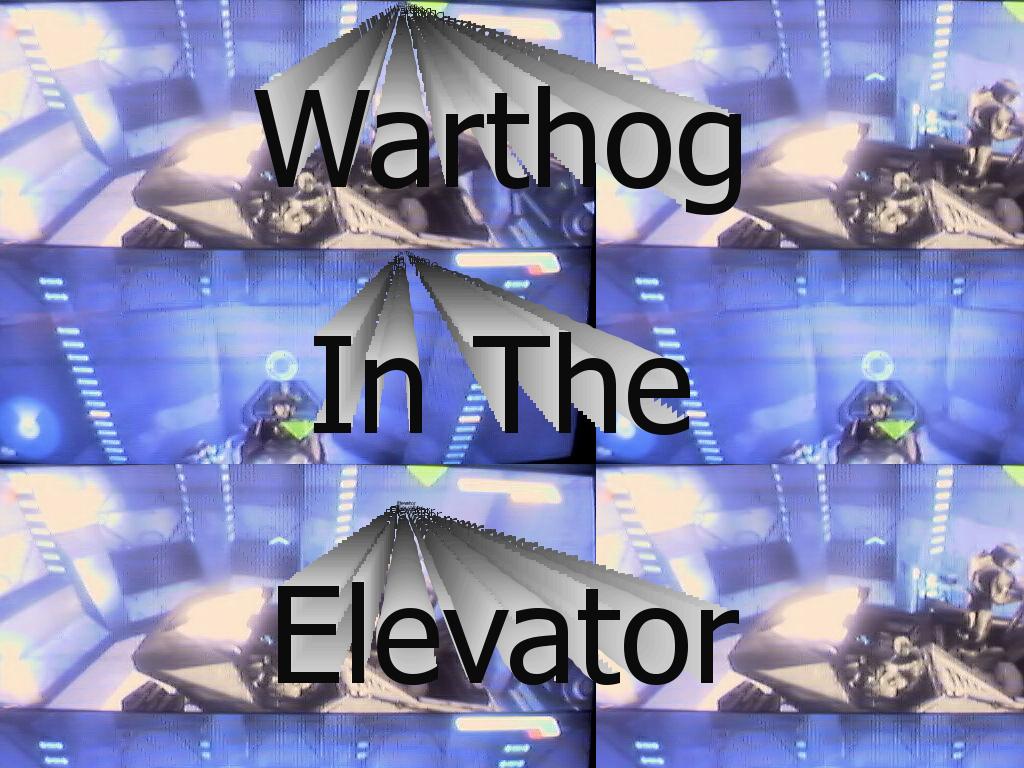 WarthogInTheElevator