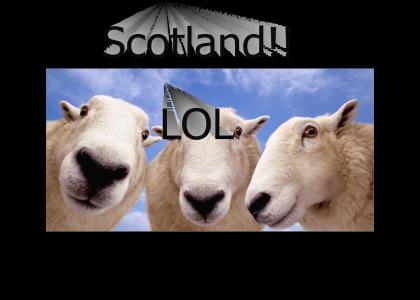 LOLSCOTLAND