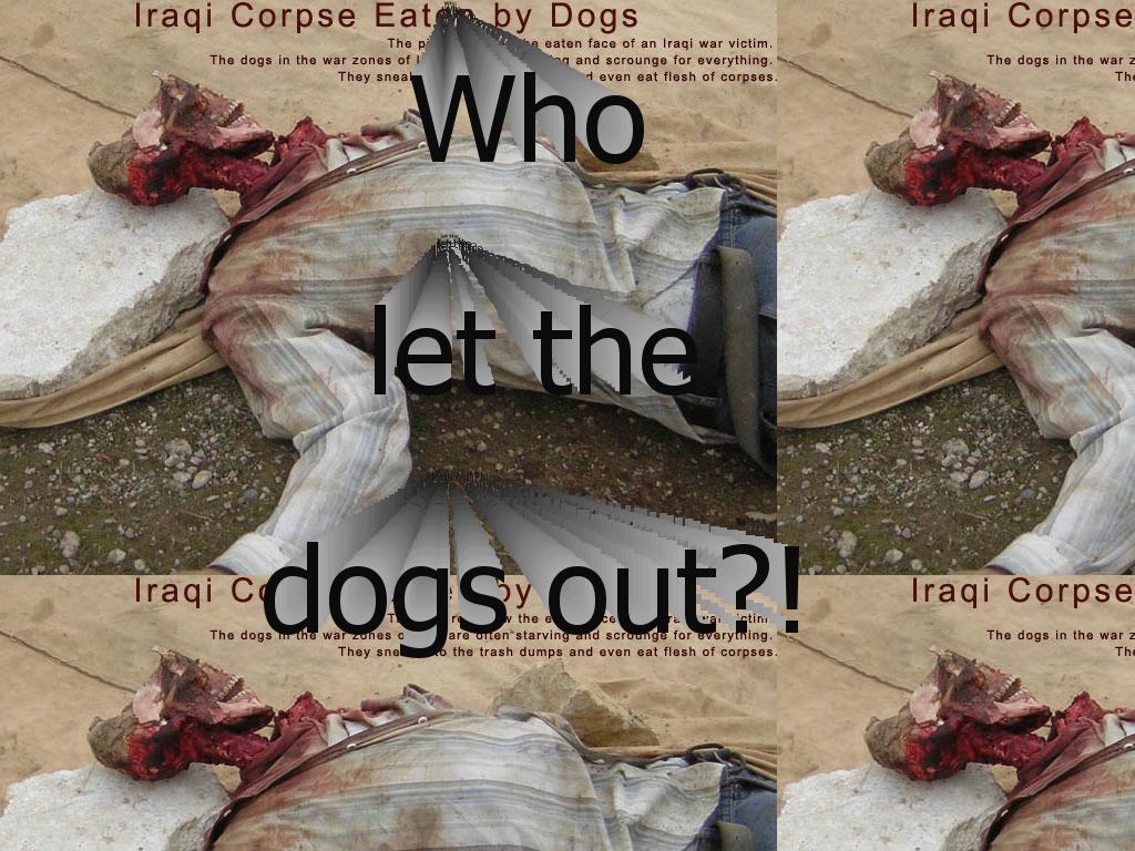 iraqicorpseeatenbydog