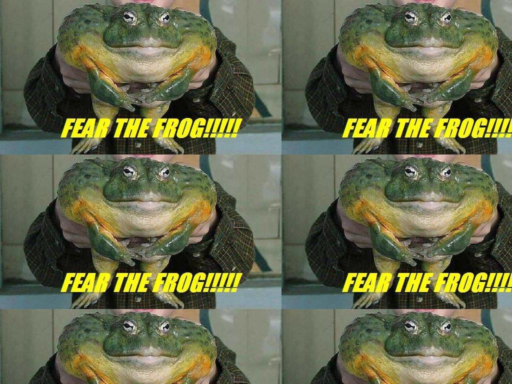 frogfear