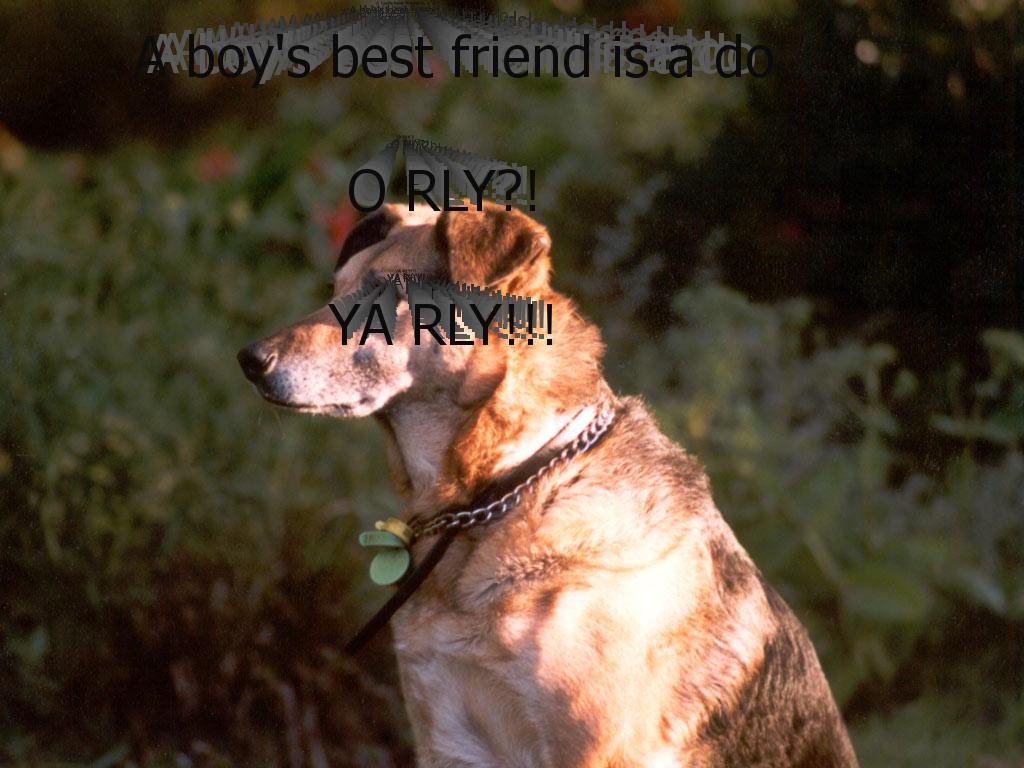 dogisafriendofmine