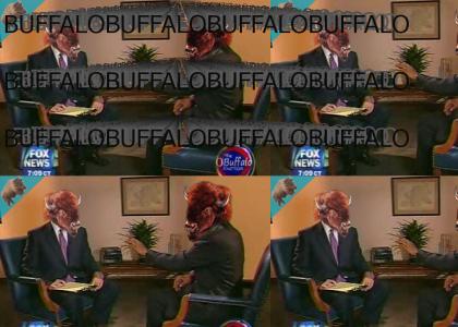 BUFFALO: Buffalobama "BUFFALOBUFFALOBUFFALOBUFFALO..."