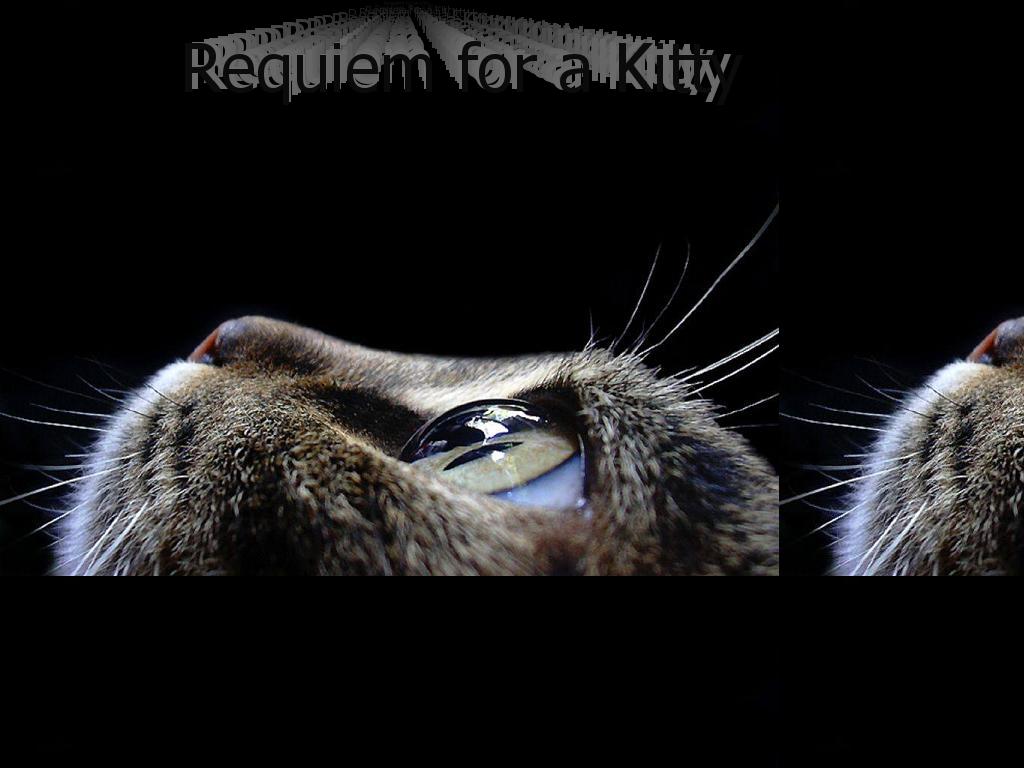 requiemforakitty