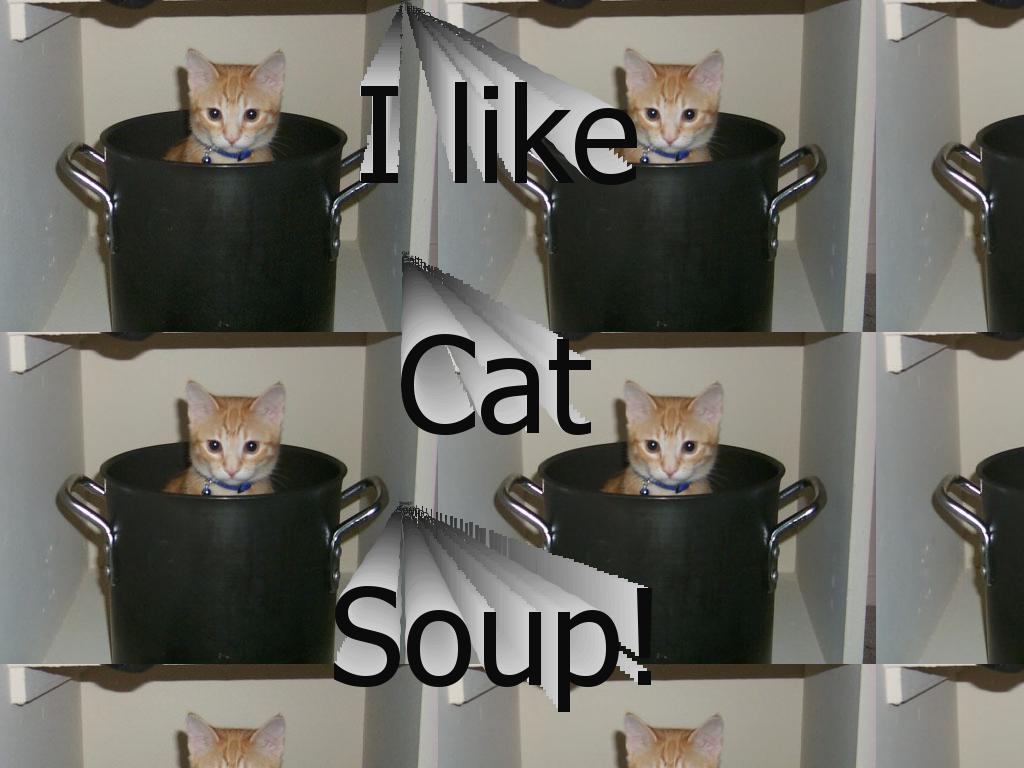 catsoup