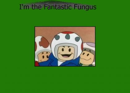 Toad: The Fantastic Fungus