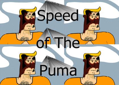 Speed of the Puma