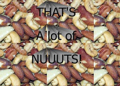 A Lotta Nuts