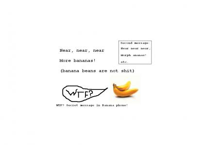 Secret message in Banana Phone!