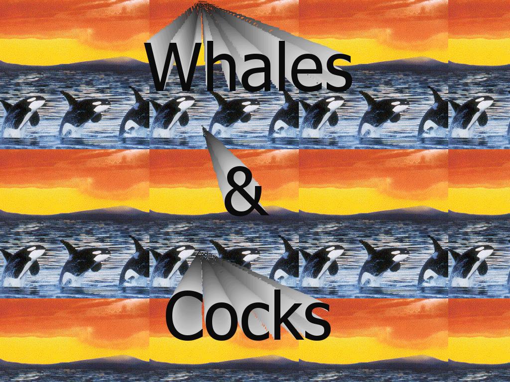whalesandcocks