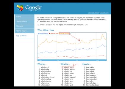 Google's Highest 'what is' Search!