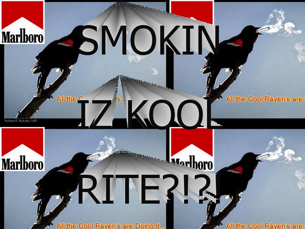 smokingbrid