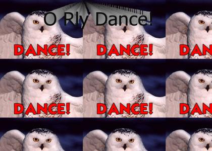 O Rly owl Dance!