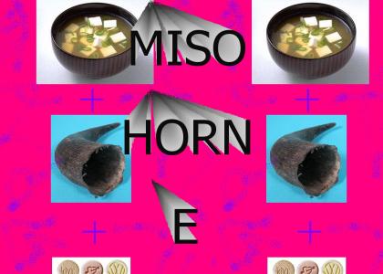 Miso Horn E