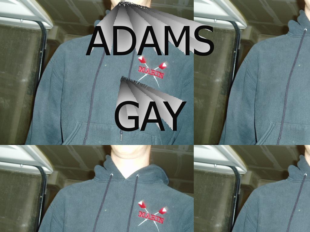 adamsgay