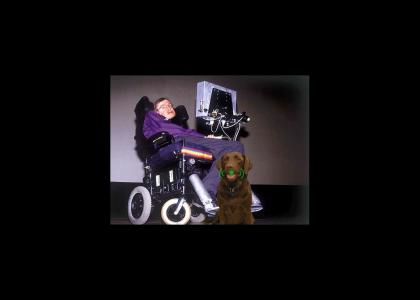 Stephen Hawking gets a dog