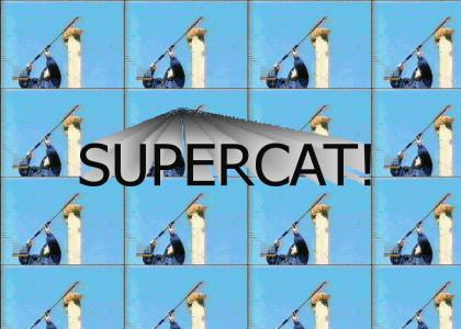 SUPERCAT!