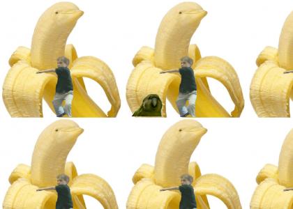 This is the Banana Dolphin