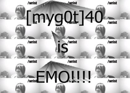 Hai Everyone, meet 40 of myg0t