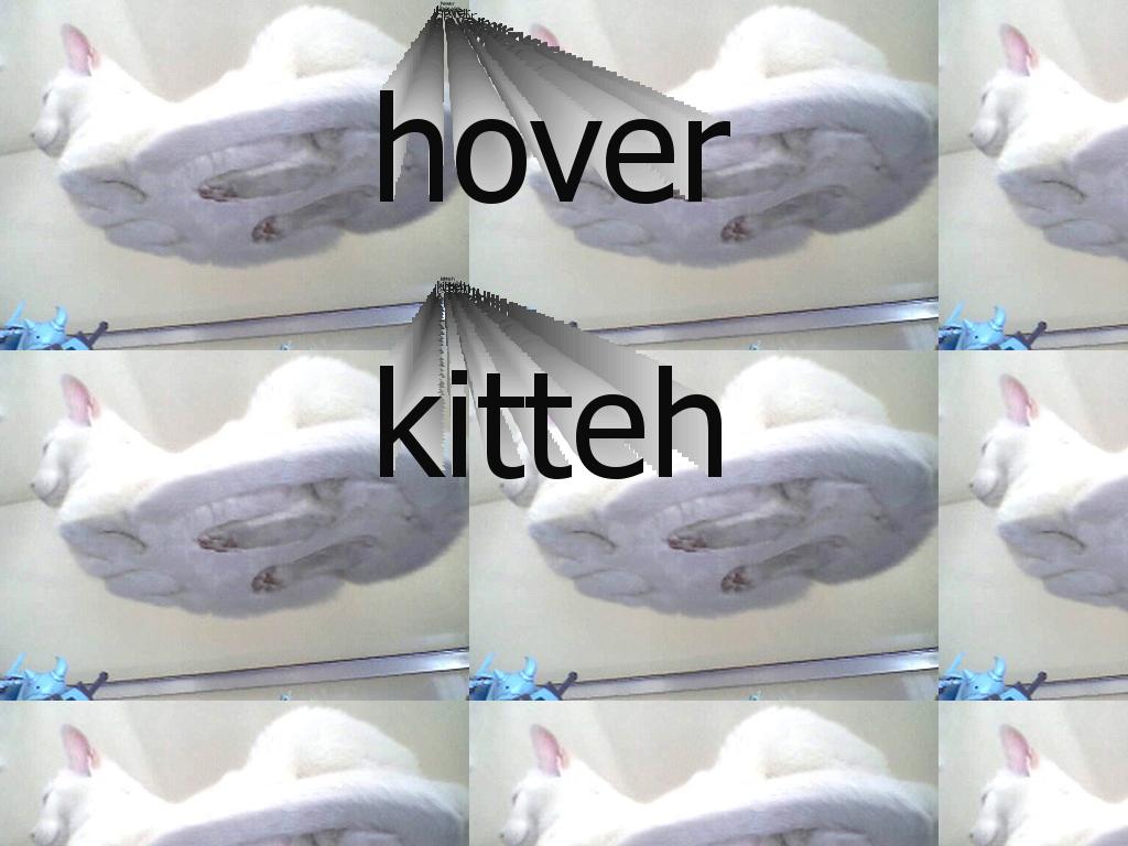 hoverkitteh