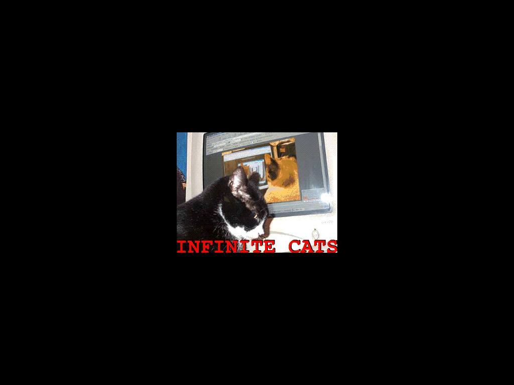 infinitecats