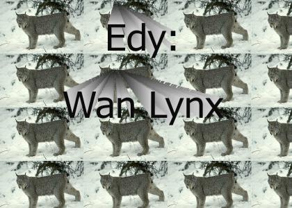 Edy: Wan Lynx