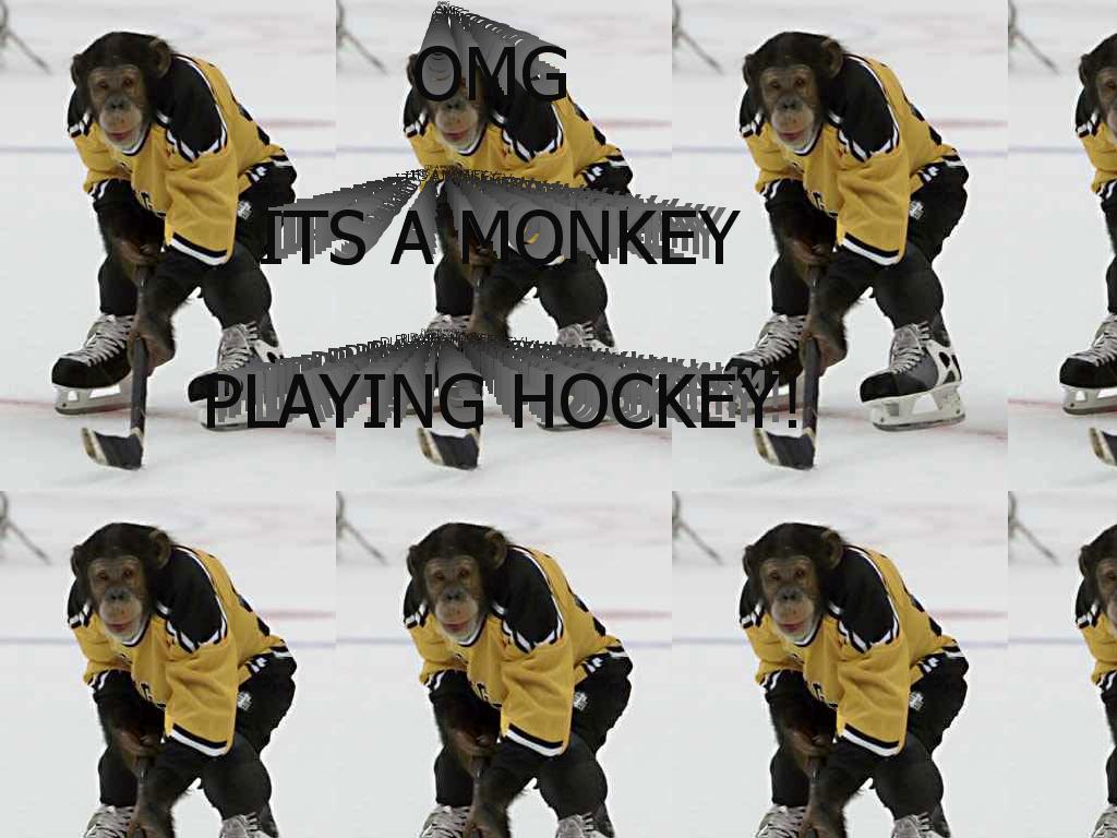 ahockeymonkey