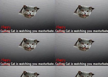 Happy Cat Is Watching You Masturbate