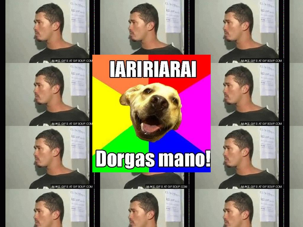 Dorgas