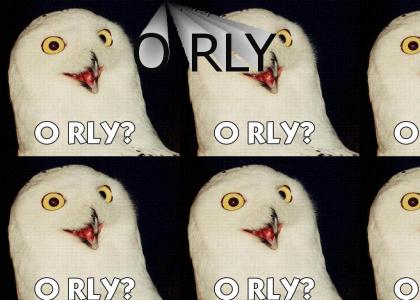 Orly OWL yah