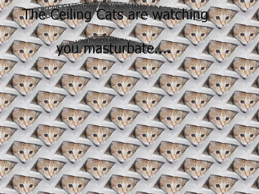 CeilingCats