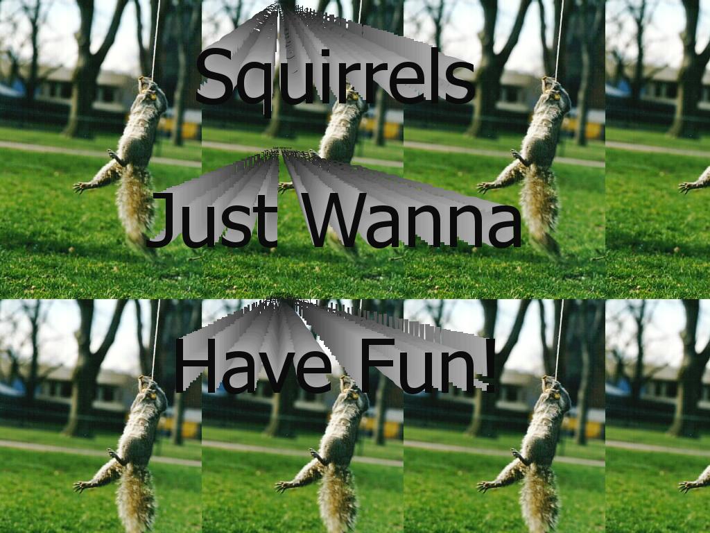 squirrelsfun