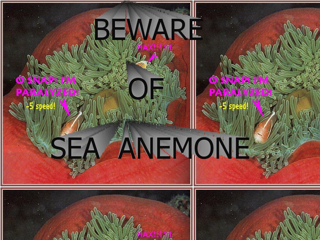 sea-anemone