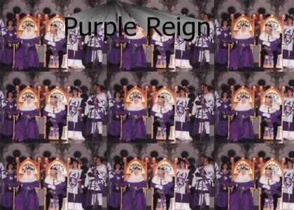 The King's Reign of Purple!