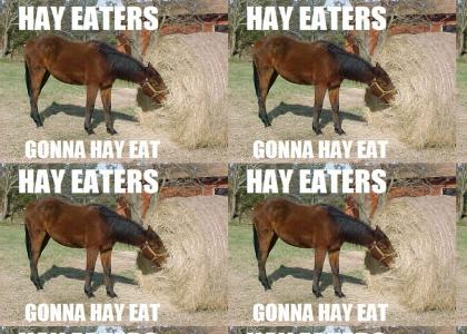 hay eaters