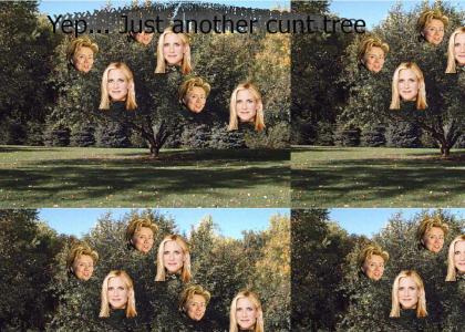 Just another c*nt tree (SFW)
