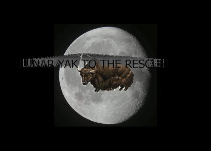 LUNAR YAK TO THE RESCUE