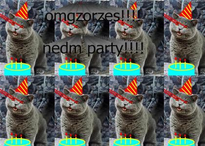 omgzorzes!! nedm party!!