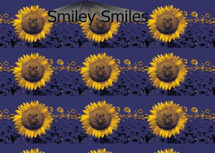 Smiley Smiles