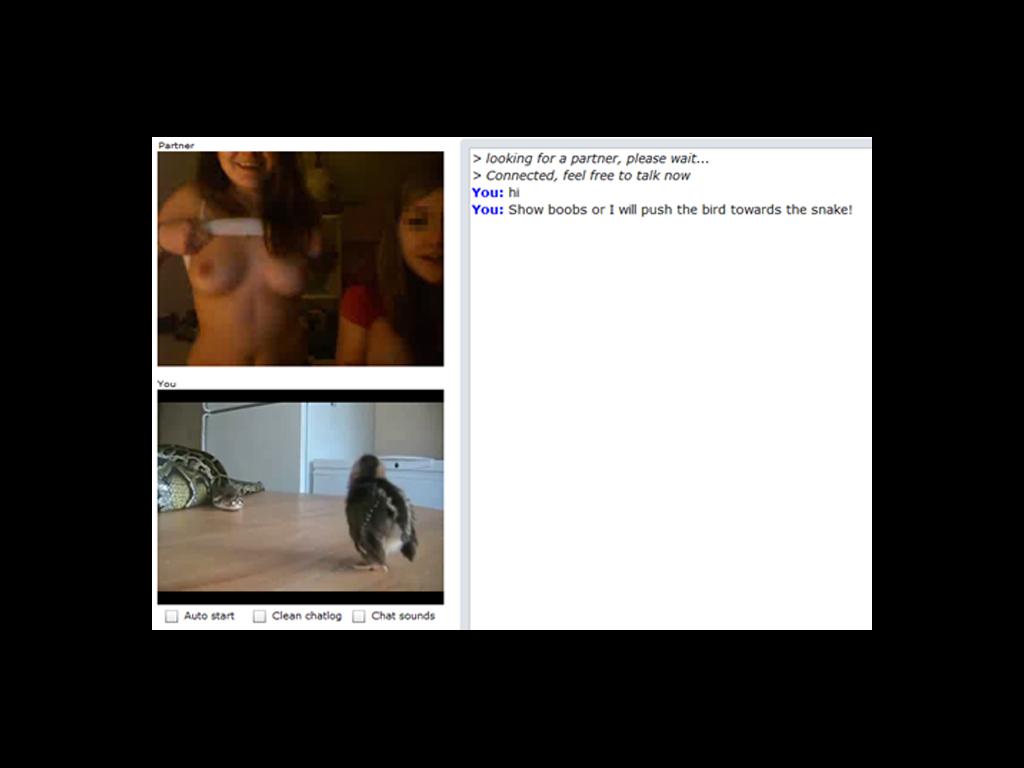 howtowinatchatroulette